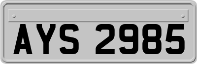 AYS2985