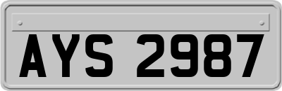 AYS2987