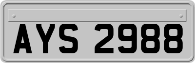 AYS2988