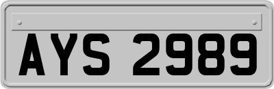 AYS2989