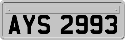 AYS2993