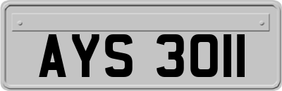 AYS3011
