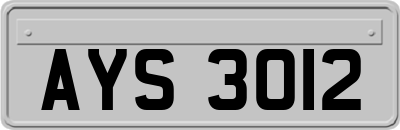 AYS3012