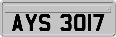 AYS3017