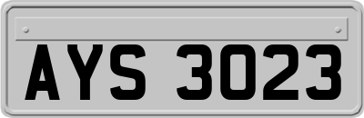 AYS3023