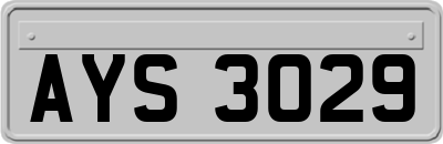 AYS3029