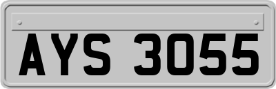AYS3055