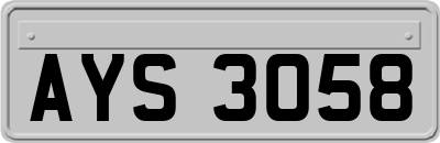 AYS3058