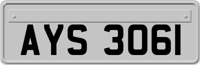 AYS3061