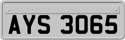 AYS3065
