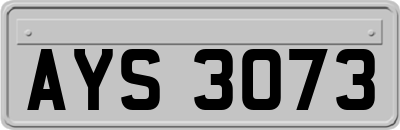 AYS3073