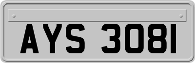 AYS3081