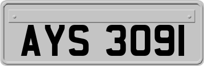 AYS3091
