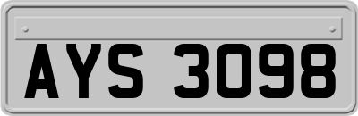 AYS3098