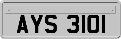 AYS3101