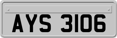 AYS3106