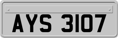 AYS3107