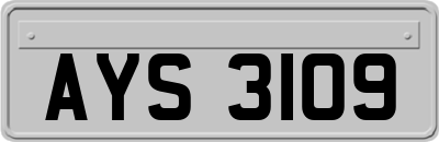AYS3109