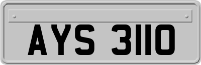 AYS3110