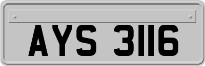 AYS3116