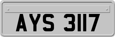 AYS3117