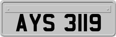 AYS3119