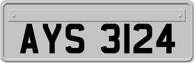 AYS3124