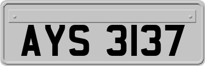 AYS3137