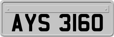 AYS3160