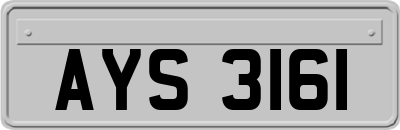 AYS3161