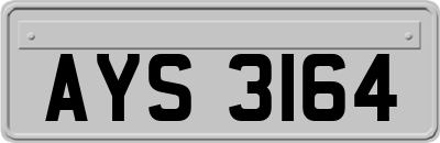 AYS3164