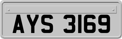 AYS3169