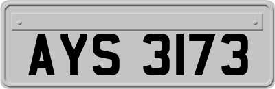 AYS3173