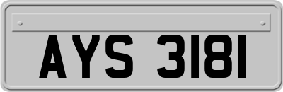 AYS3181