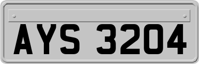 AYS3204