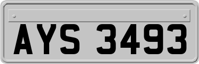 AYS3493