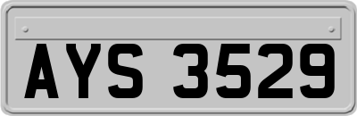 AYS3529