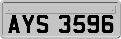 AYS3596