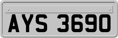 AYS3690