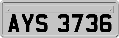 AYS3736
