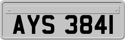 AYS3841