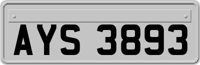 AYS3893