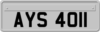 AYS4011
