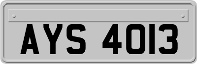 AYS4013