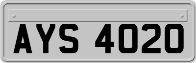 AYS4020