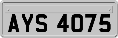 AYS4075