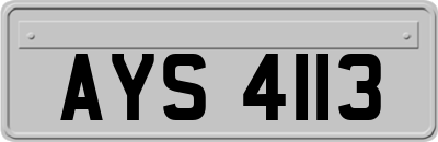 AYS4113