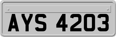 AYS4203