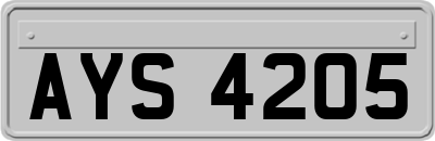 AYS4205