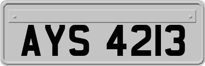 AYS4213